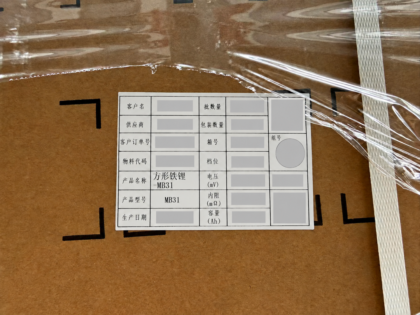 MB31 carton label with customer and shipment identifiers redacted